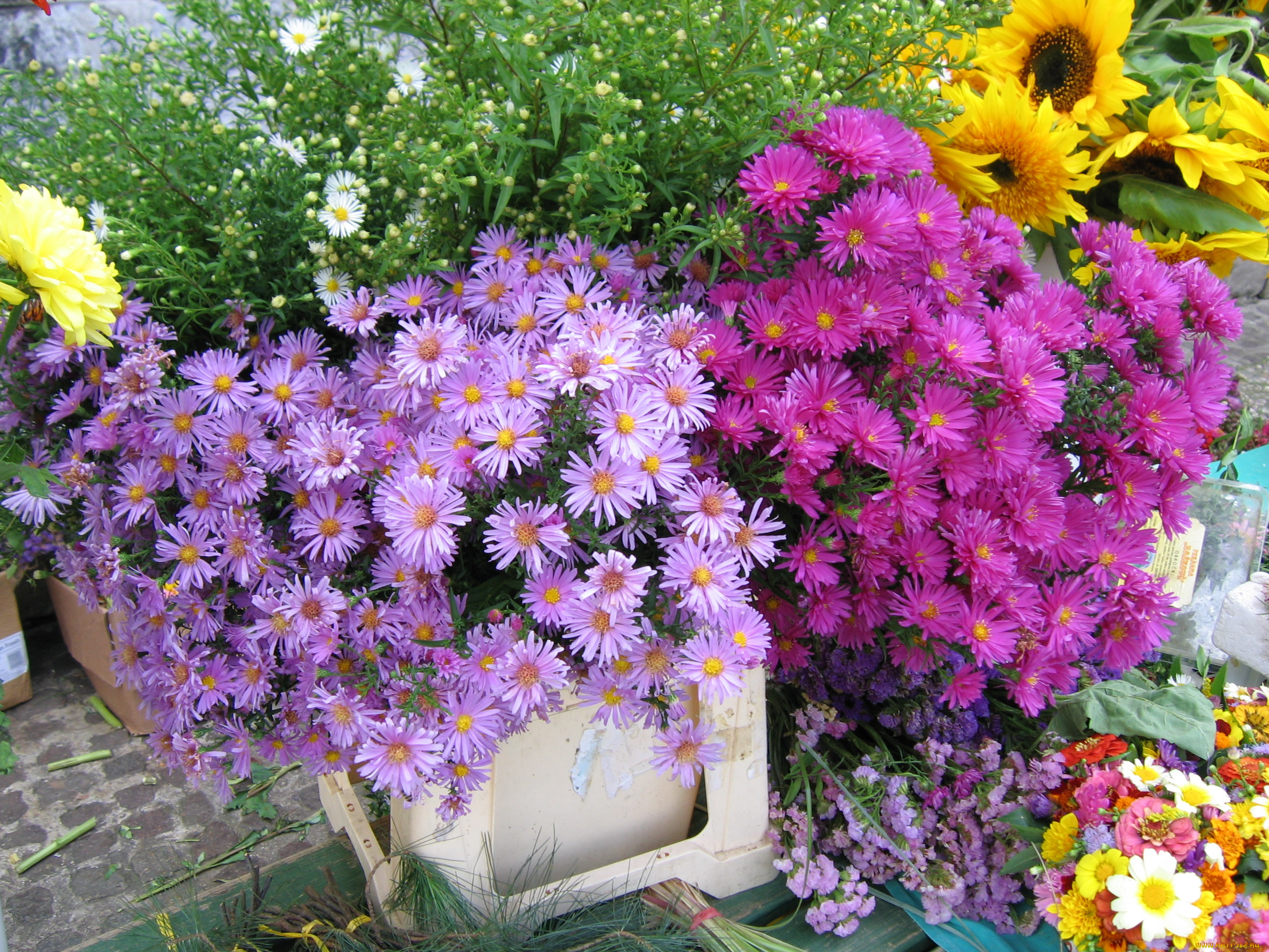 beszenno, , , 